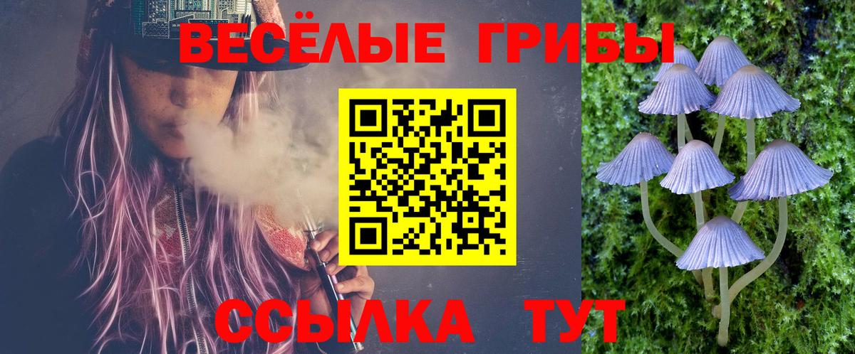 Дубна  Псилоцибиновые грибы Psilocybe  Галлюциногенные грибы Psilocybe  Вход с VPN 